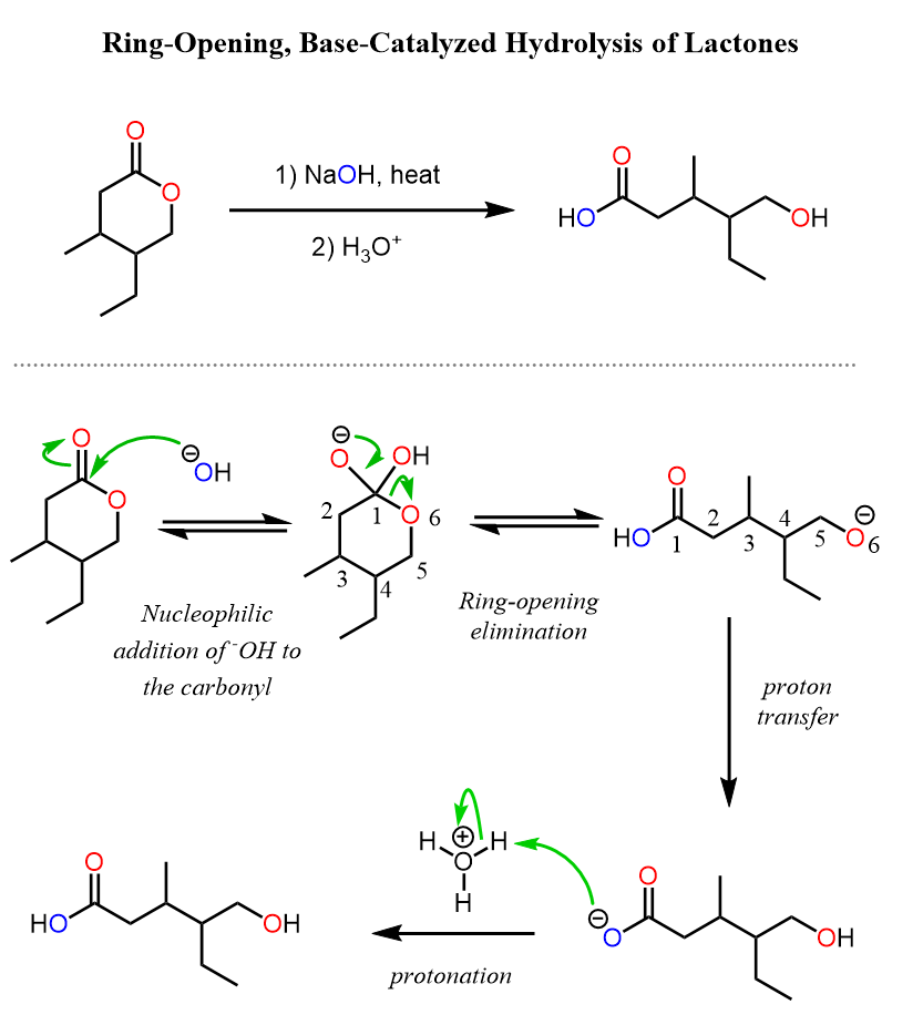 Hydrolysis of Lactones - Chemistry Steps